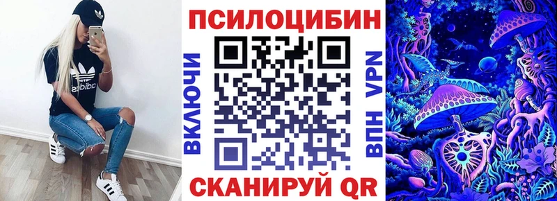 Псилоцибиновые грибы Psilocybe  Купить закладки  Шацк 